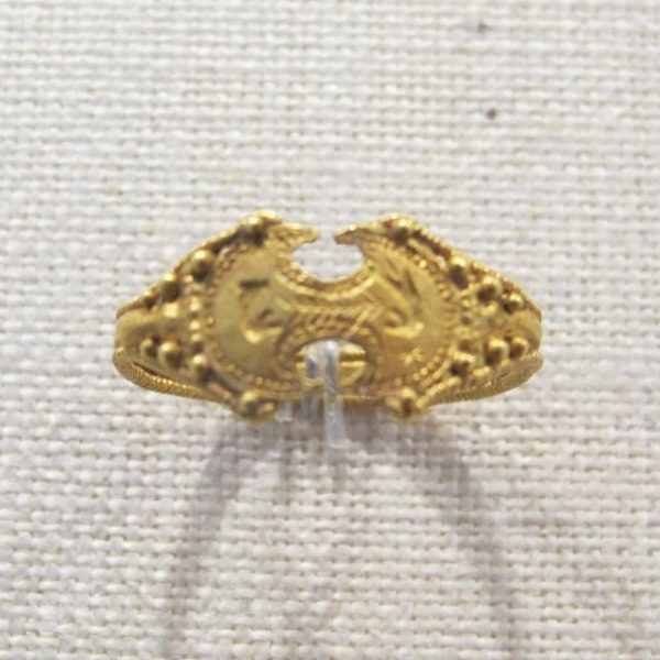 Confronted Birds Granulation Ring